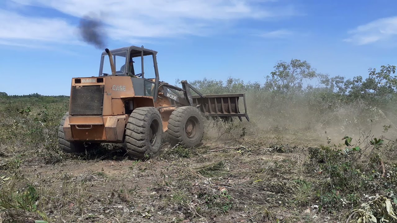 Enleiramento com garfo 2 /Pá carregadeira case W20E