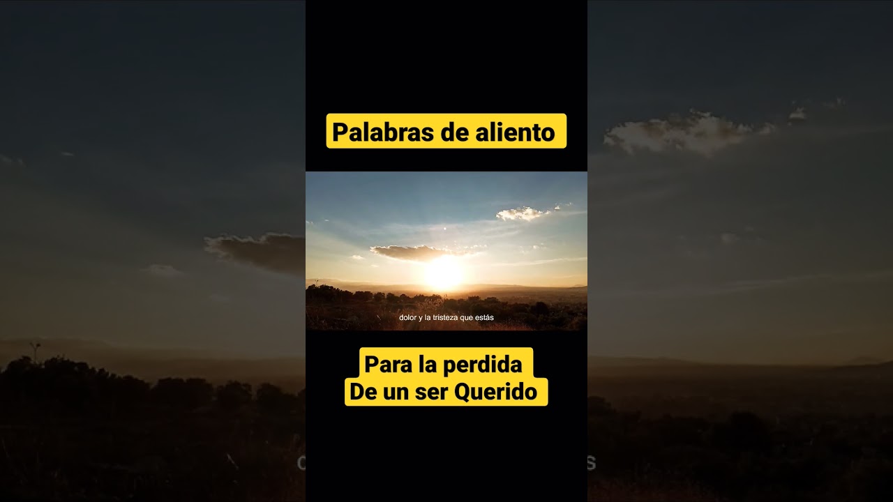 Palabras de aliento para la perdida de un ser querido 🥲✨