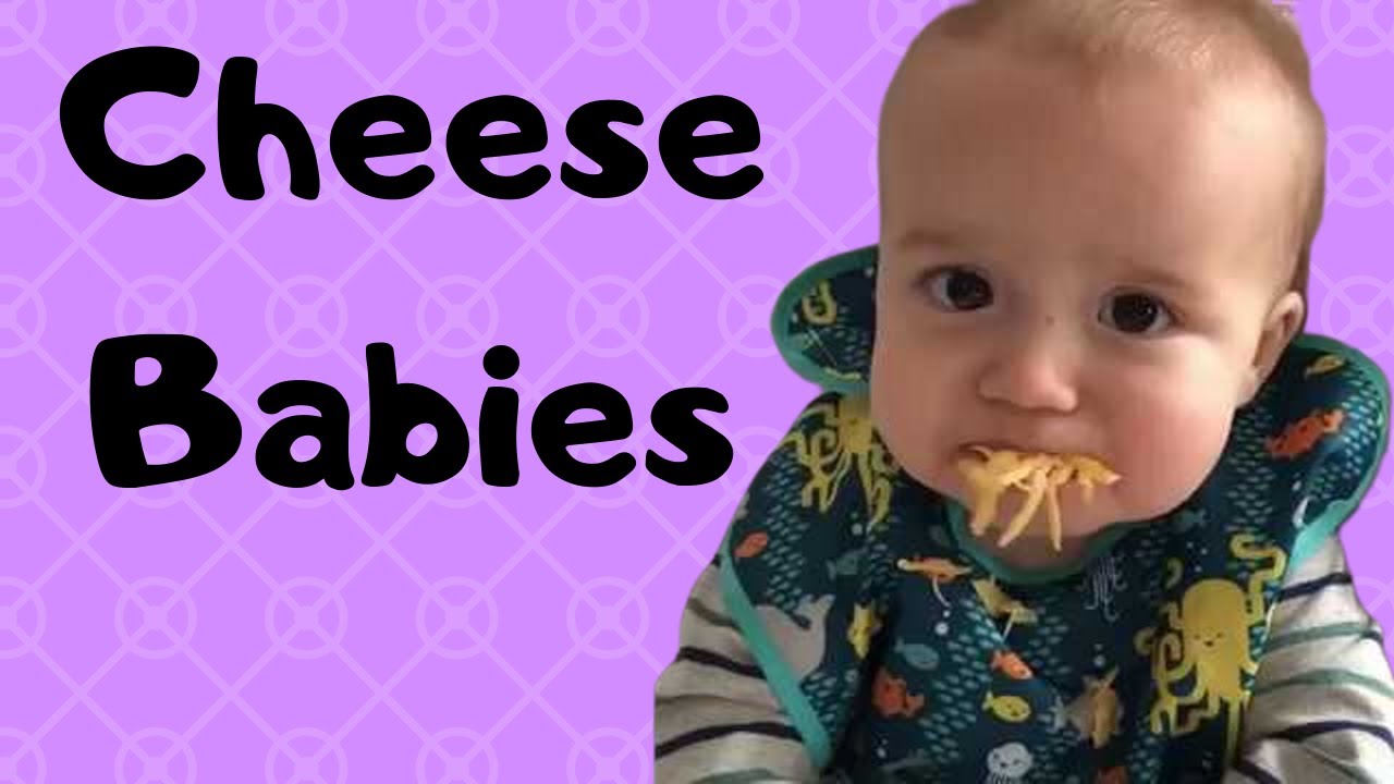 Cheese Babies -All The Babies  😀😍😘