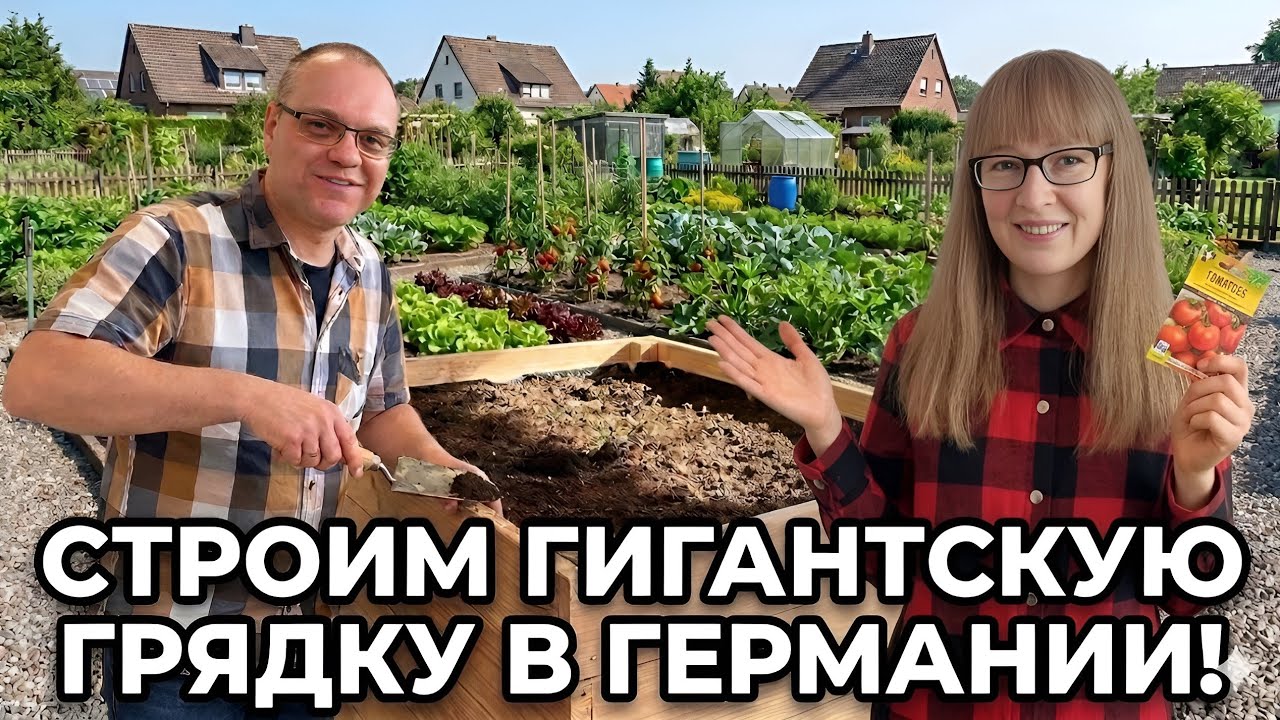 Отмечаем 8 Марта у мамы! Защищаем мозг от деменции и грилим креветки. 