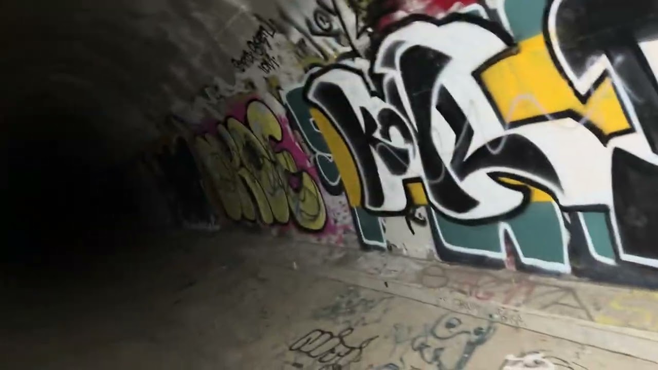 Tunnel in the 805 