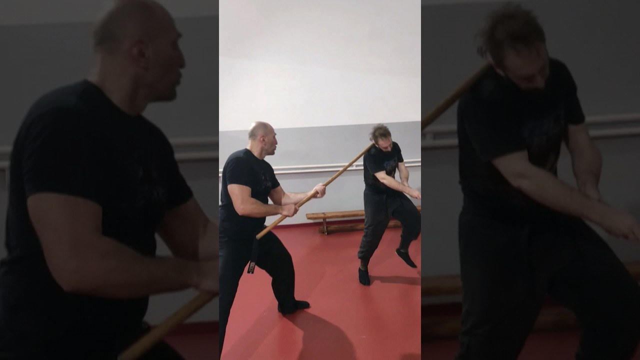 Bo vs boken #ninjutsu #shadowwarrior #bujinkan #bujin #selfdefense #martialarts #bostaff  #ninja