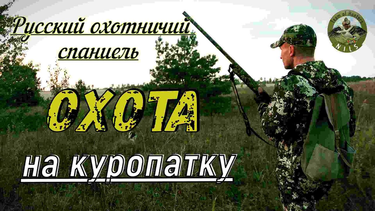 Команда 