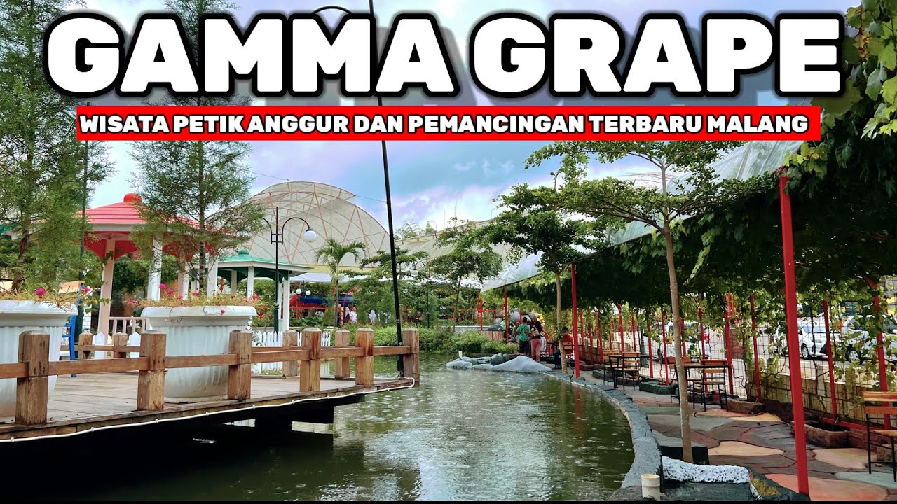 GAMMA GRAPE EXPERIENCE MALANG - WISATA PETIK ANGGUR TERBARU DI DAERAH TUMPANG