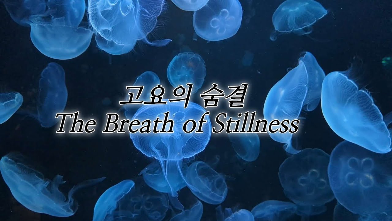 The Breath of Stillnessㆍ고요의 숨결 3회반복 #instrumental #light music  #명상 #치유음악
