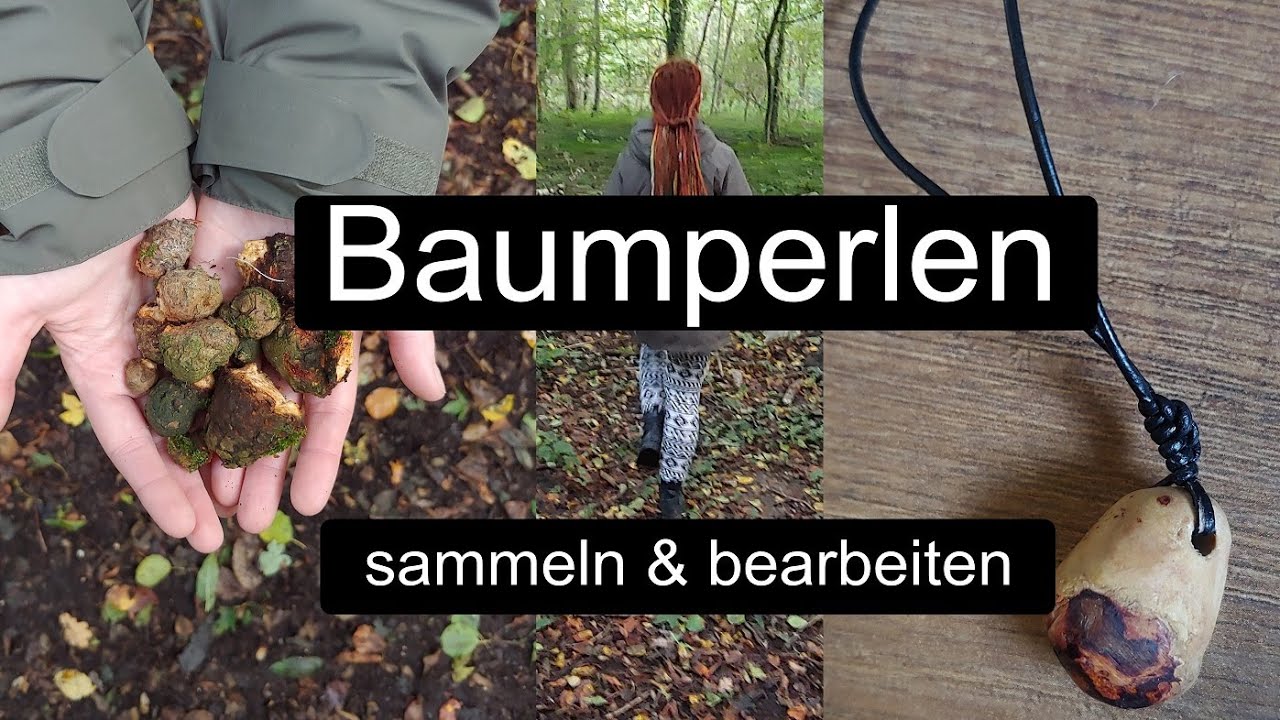 Baumperlen sammeln und bearbeiten