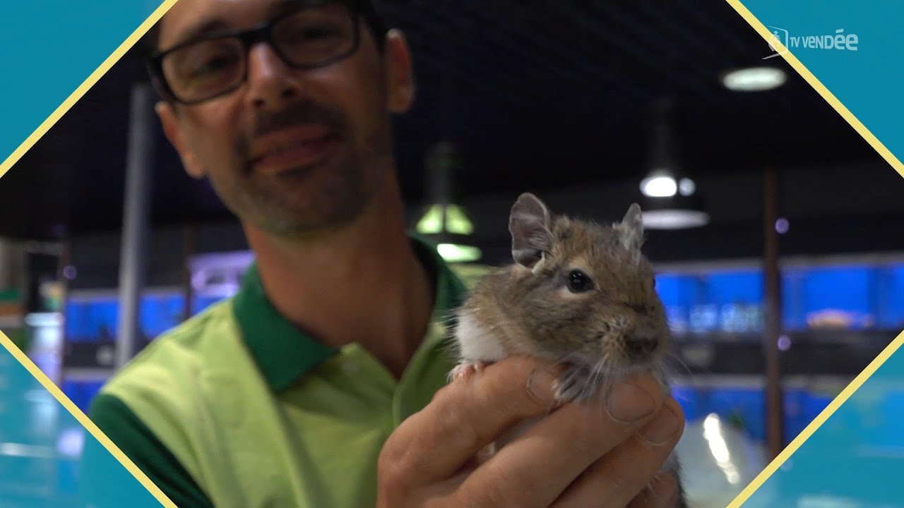 Beau Boulot – Guillaume Bourasseau – Animalier - Responsable de magasin – CAVAC