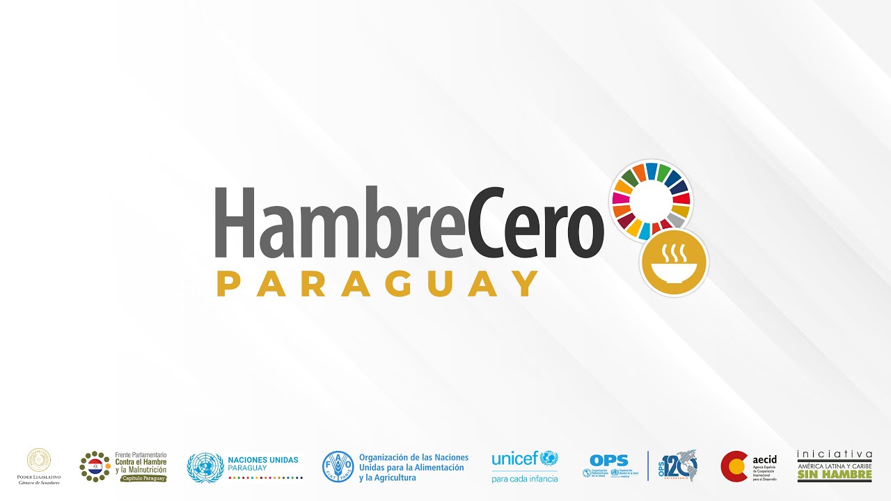 FORO HAMBRE CERO PARAGUAY. Proyecto de Ley 