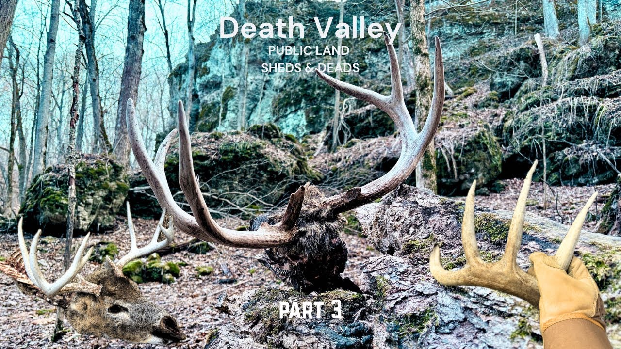 Driftless Shed Hunting - 2025 Sheds & Deads - Part 3