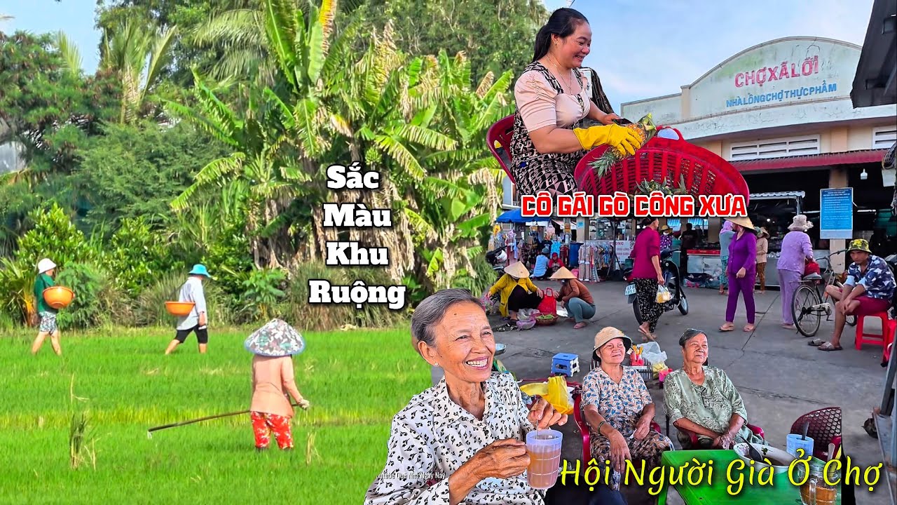 Mùa Xanh Đồng Vùng Quê Thị Xã Gò Công Xưa , Vui Nhất Chợ Hội Người Già Bữa Nào Cũng Có.