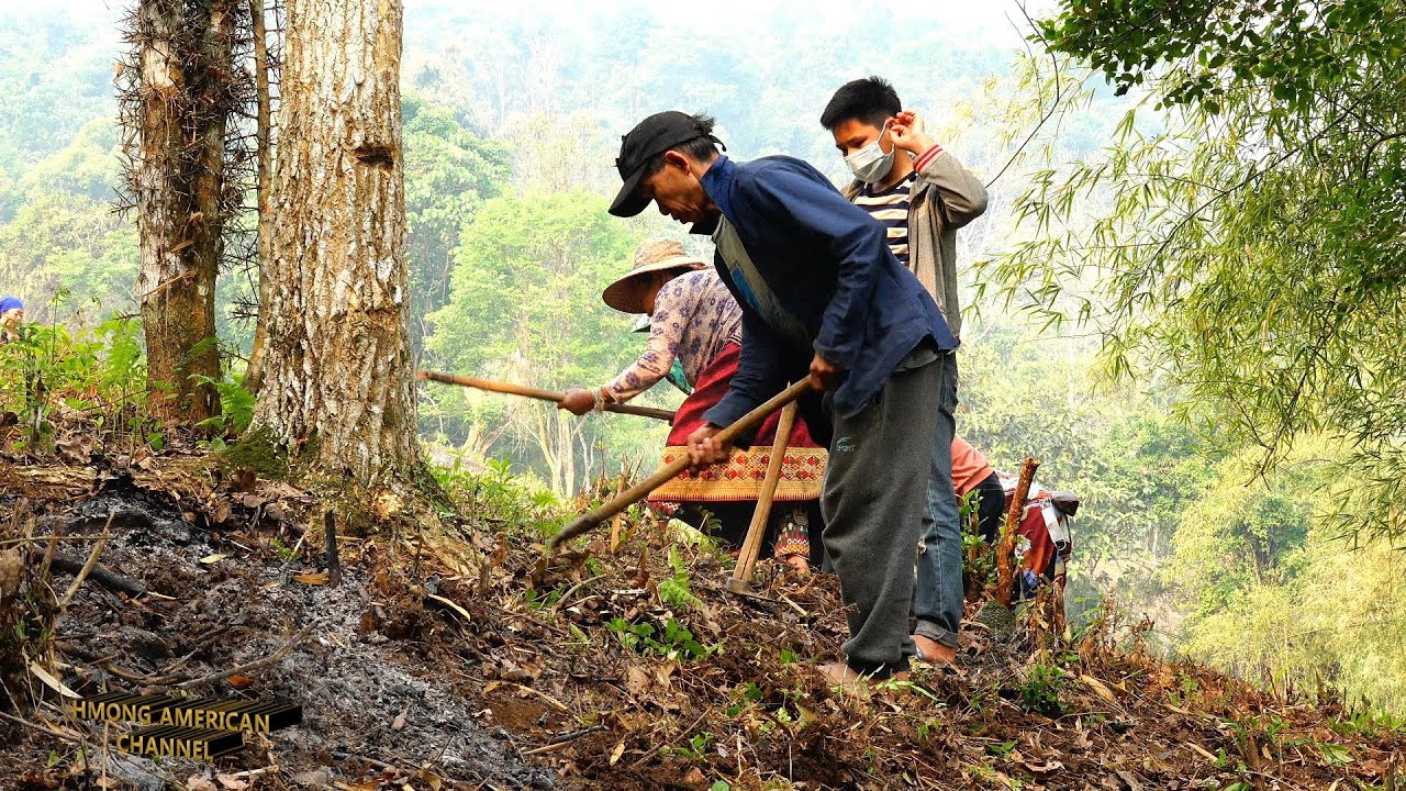 I'm In Laos: The Highlands of Hmong in Laos & Lifestyle Ep1