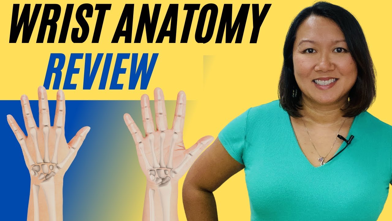 Wrist Anatomy Review | What to Consider With Ligament Injuries for Occupational Therapists