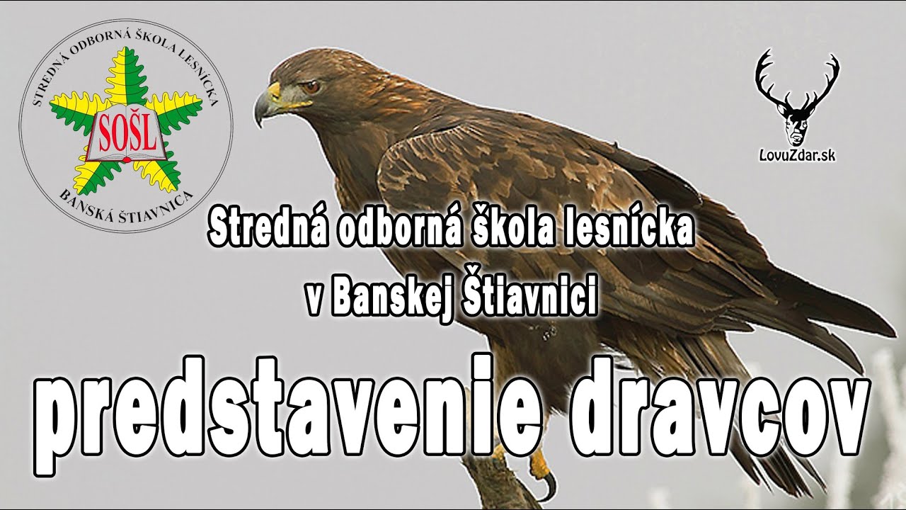 SOŠL predstavenie dravcov: orol skalný, krkavec, myšiak, sokol, jastrab, plamienka driemavá