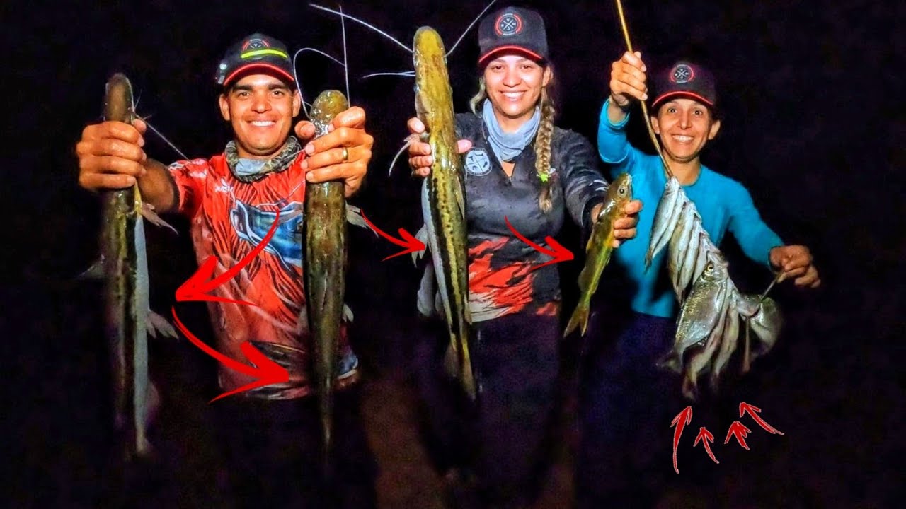 Ninguém acreditou olha o tanto de peixe que saiu na frente de nosso acampamento foi incrível