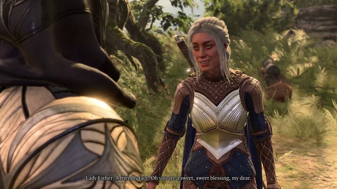 Baldur's Gate 3 Mountain Pass with Little Birds Dispute Tactician 4K