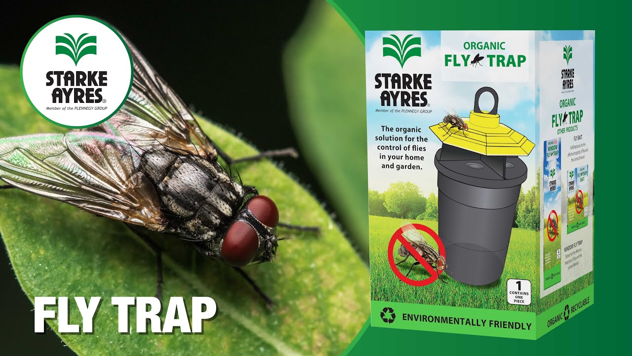 Starke Ayres Organic Fly Traps with Tanya Visser