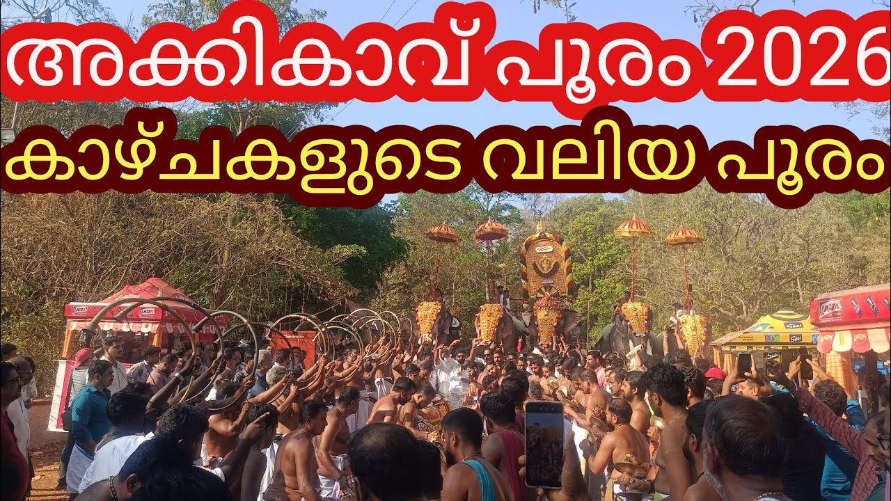 അക്കികാവ് പൂരം 2026||Eliphant ||Feast2026 || ||Pooram|Ulsavam ||Feast2026||🐘||Aana||Akkikavu Pooram 