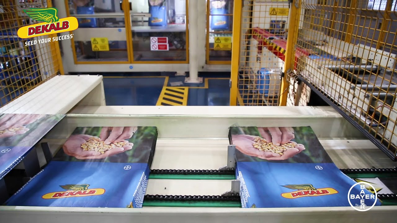 DEKALB Fabrikası