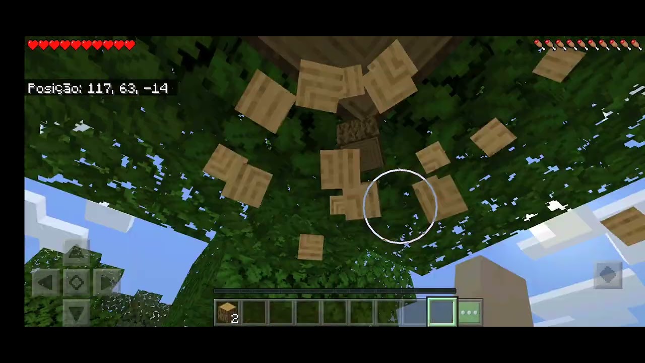 netherrack in inventory speedrun 