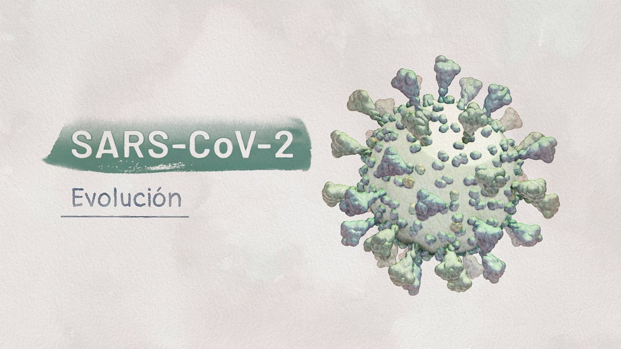 La biología del SARS-CoV-2: Evolución | Video HHMI BioInteractive