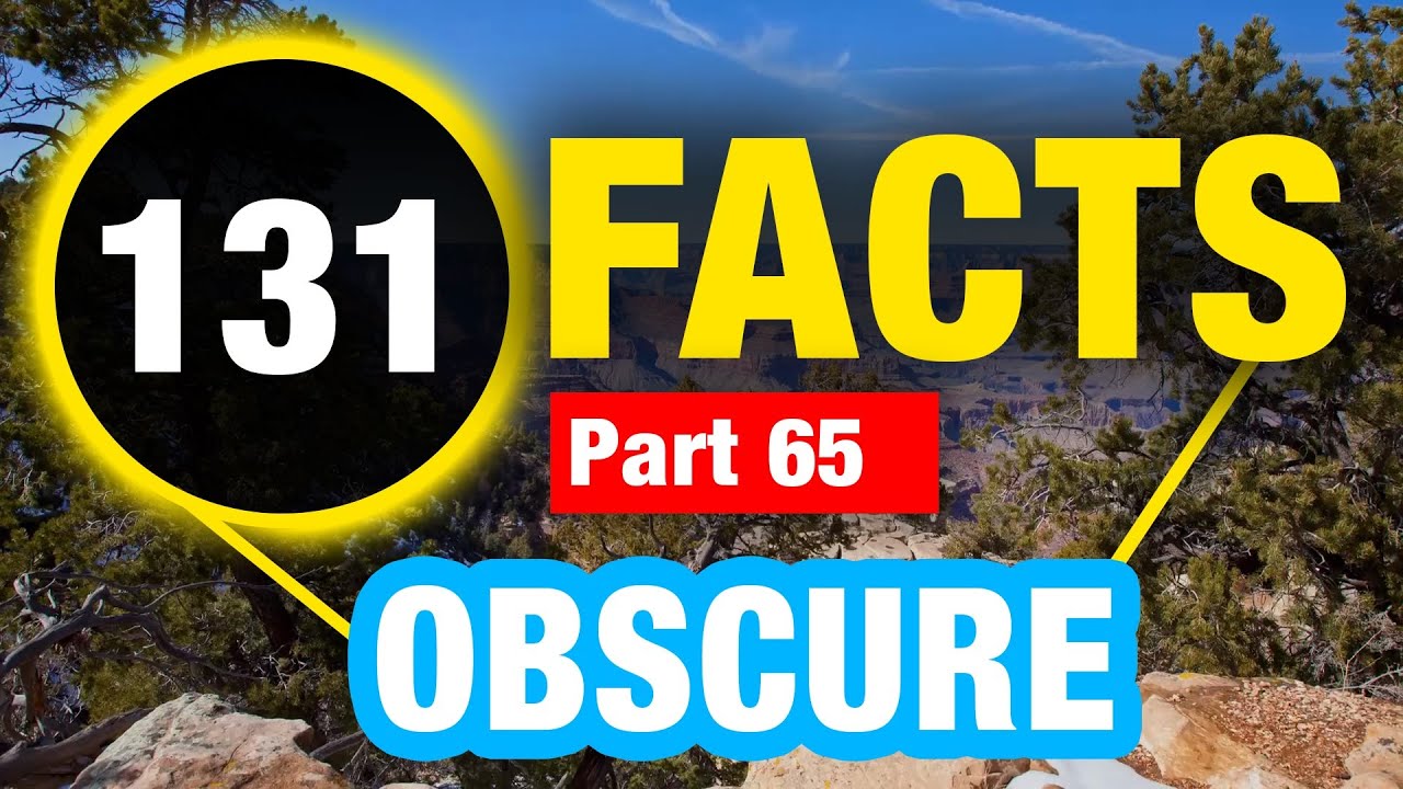 131 Facts You Won’t Believe | Facts That Will Shock You