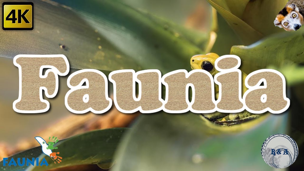 Faunia Madrid Full Park 4K
