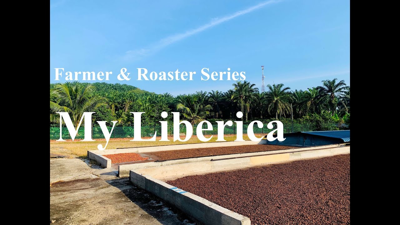 Liberica Coffee Farm & Roaster Series - My Liberica