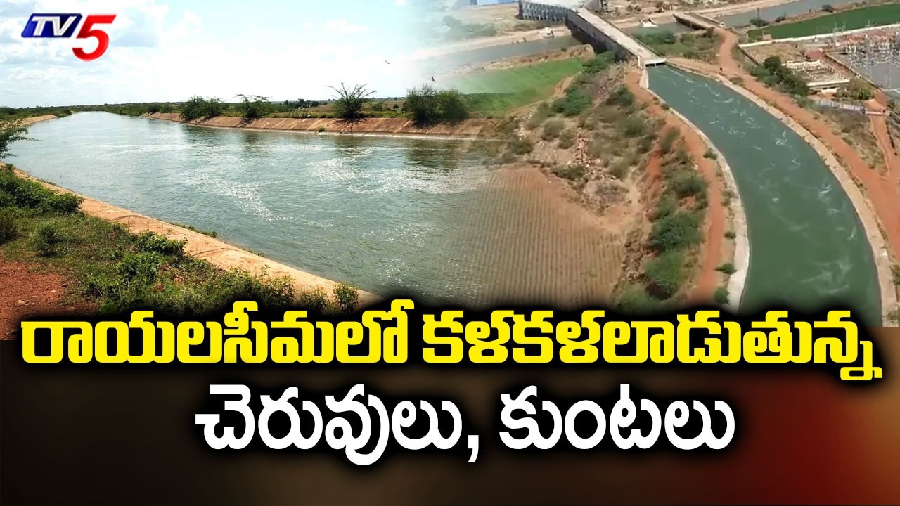 50 TMC Of Krishna Water Transferred To Rayalaseema Through Handri-Neeva By Canal Widening |  TV5