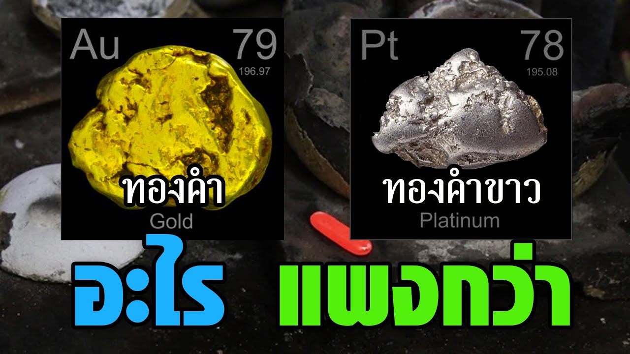 ทองคำขาว กับ ทองคำ อะไรแพงกว่า