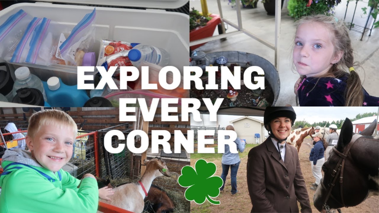 FULL DAY at the COUNTY FAIR | What Color Ribbon Today?