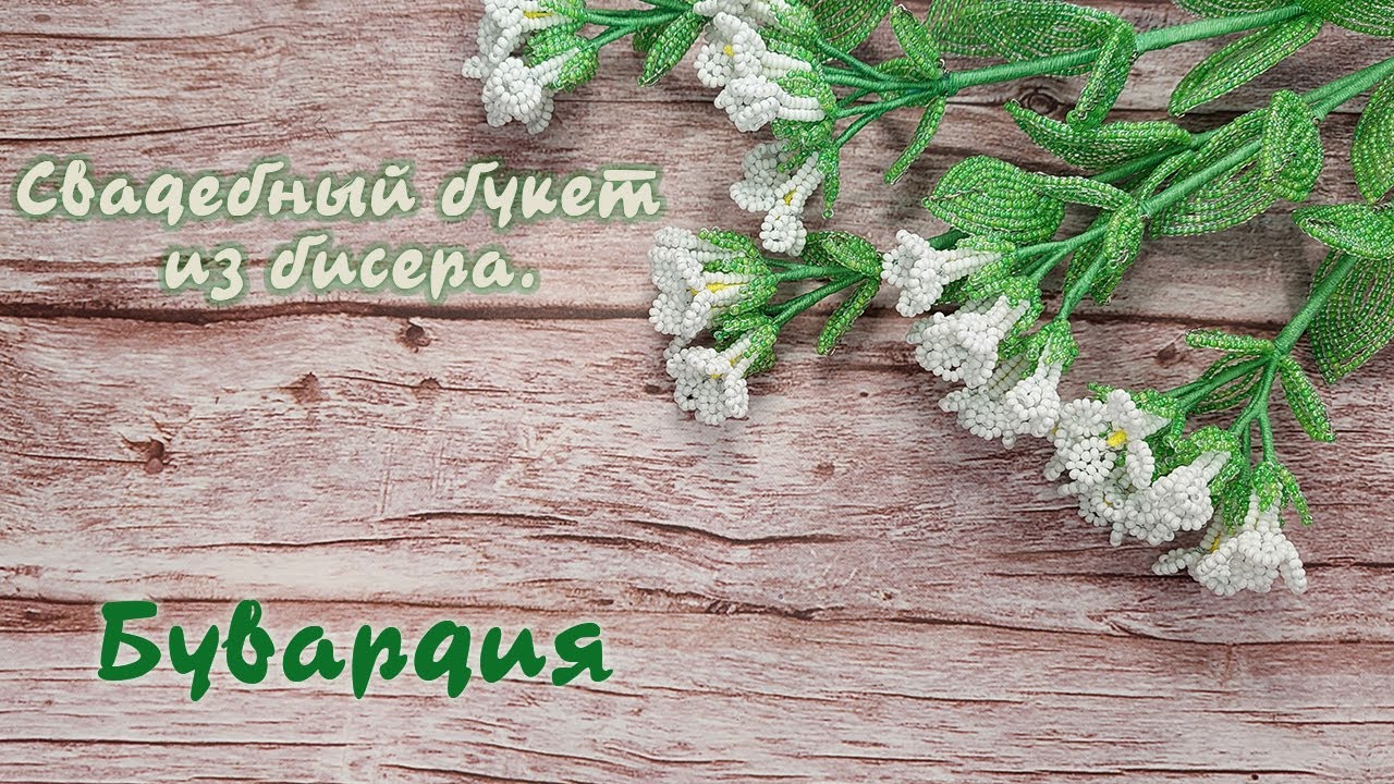 Свадебный букет из бисера - Бувардия