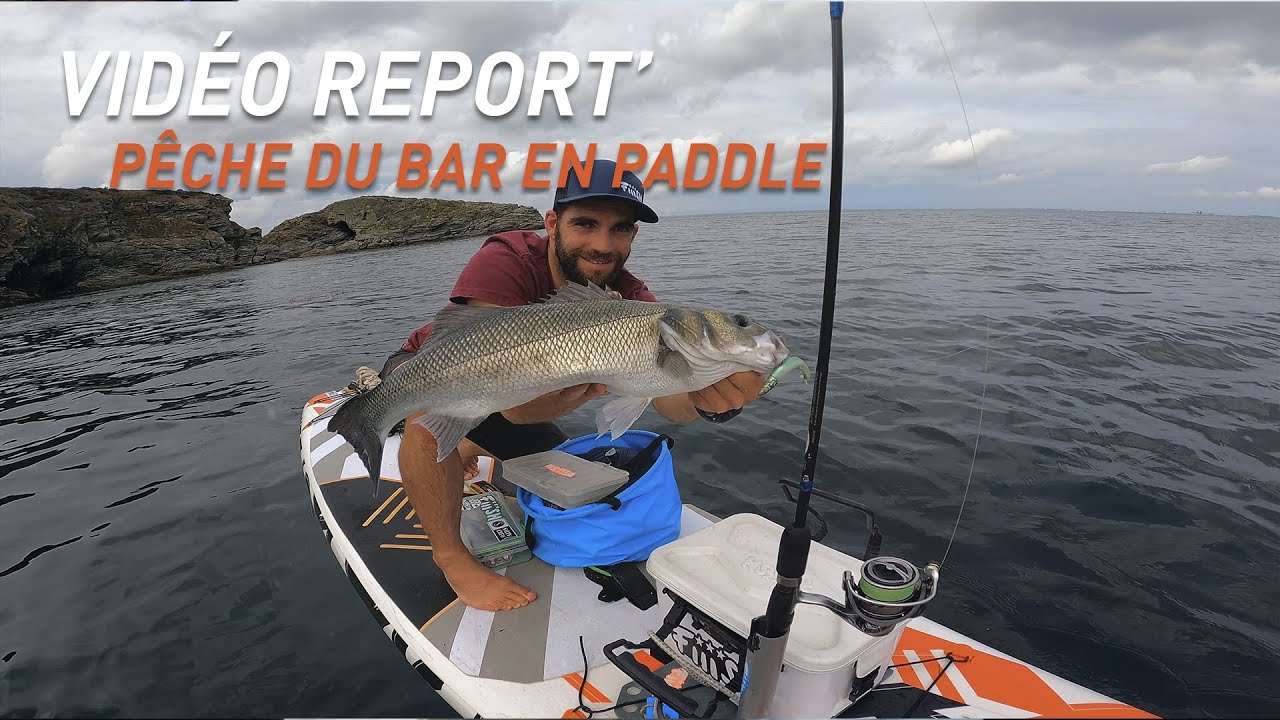 Pêche du bar en paddle