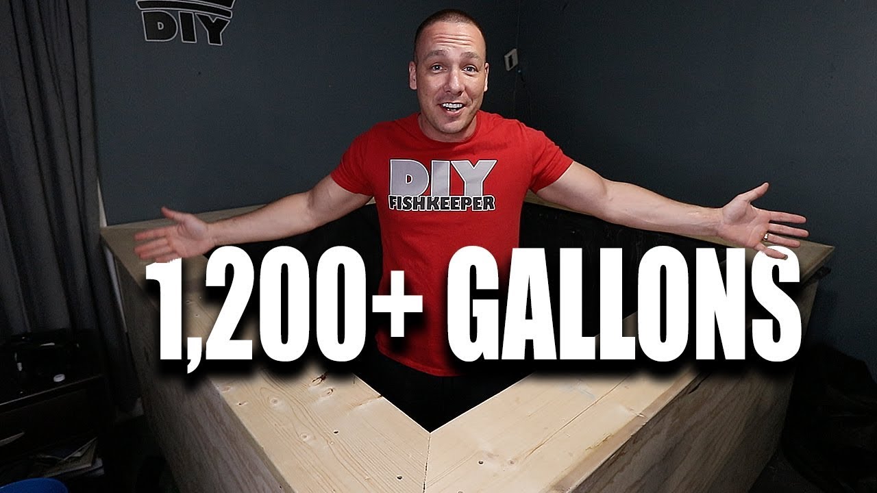 How I built the indoor pond | The King of DIY
