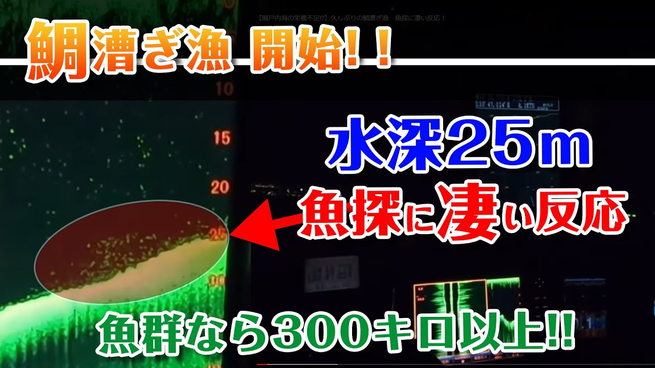 【瀬戸内海の栄養不足!?】久しぶりの鯛漕ぎ漁　魚探に凄い反応！