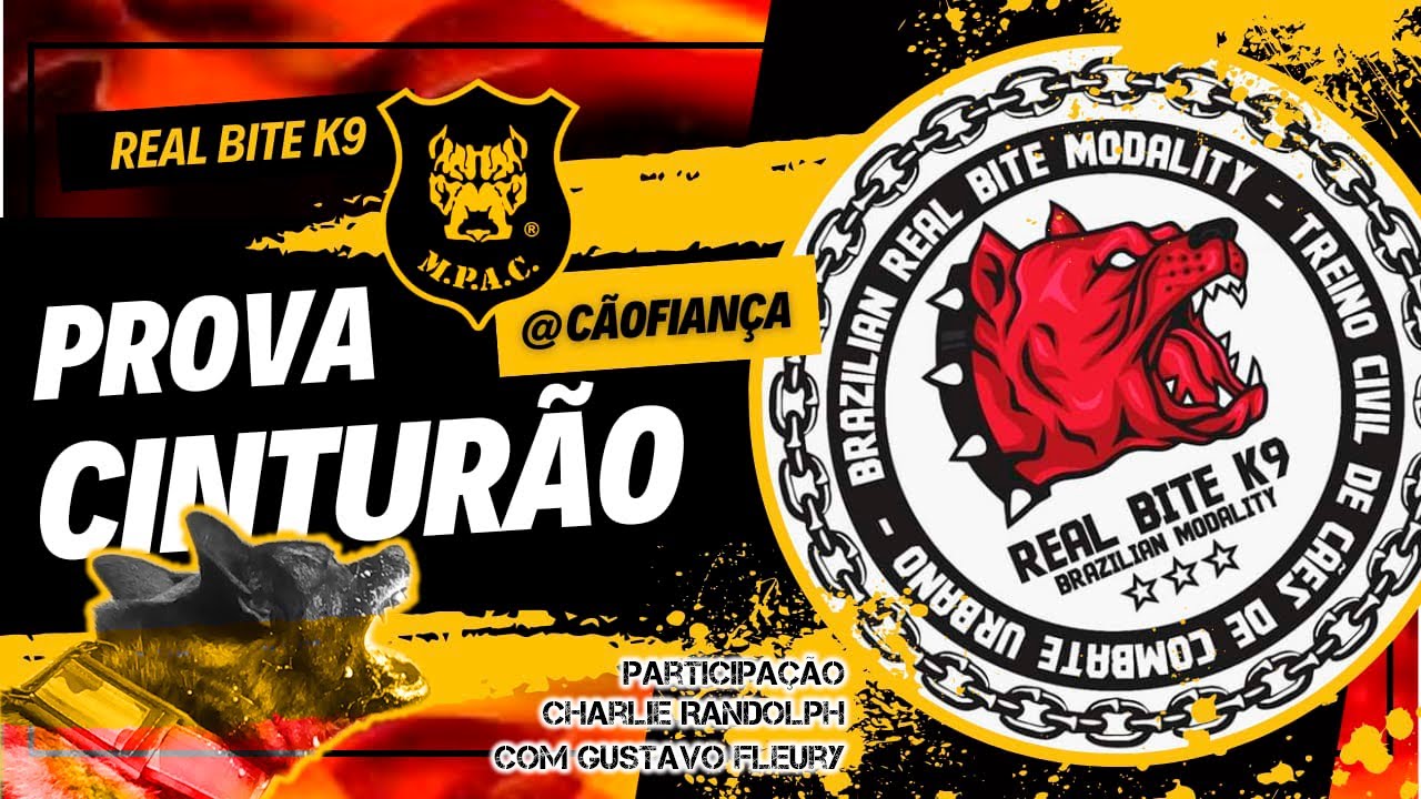 PROVA - CINTUR&Atilde;O - REAL BITE