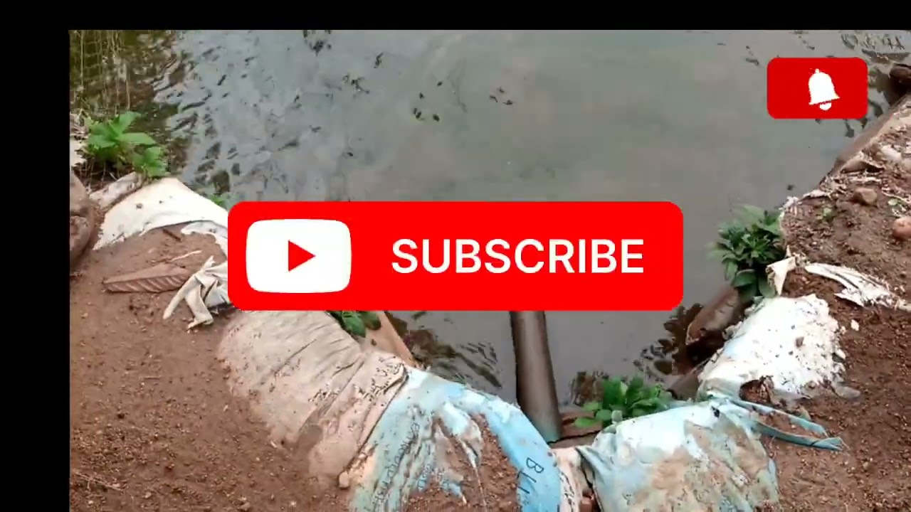 ARTIFICIAL LAKE POND VS. NATURAL EARTHEN POND| SUSTAINABLE FISH POND SYSTEM IN NIGERIA
