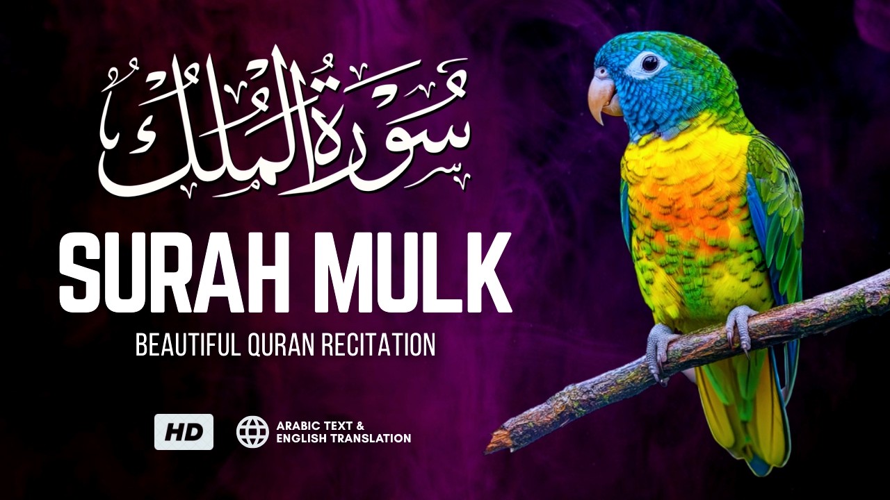 Surah Al-Mulk سورة الملك | Heart-Calming Recitation for Protection, Peace & Barakah | Alaa Aqel