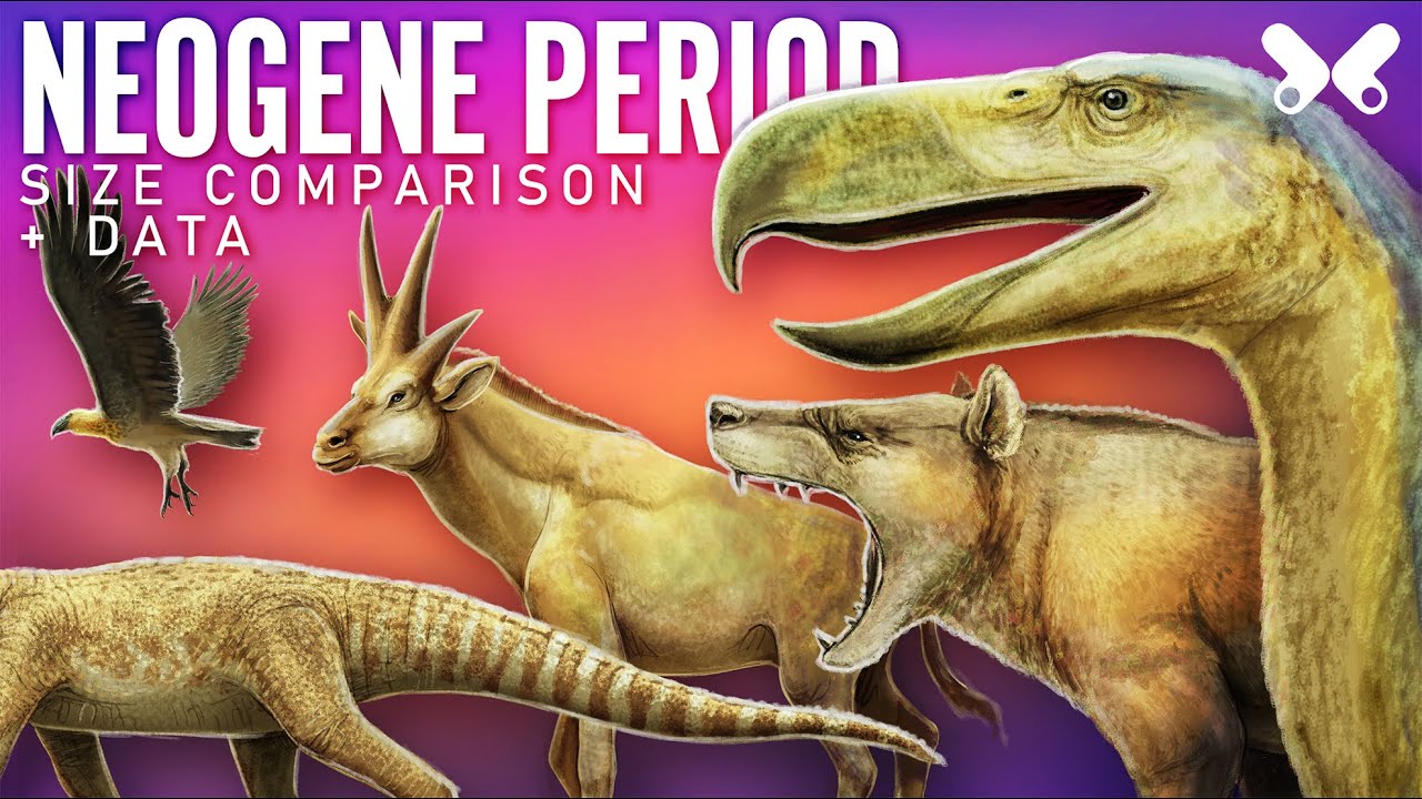 NEOGENE Period ( Miocene and Pliocene epochs) . anmals size comparison and data