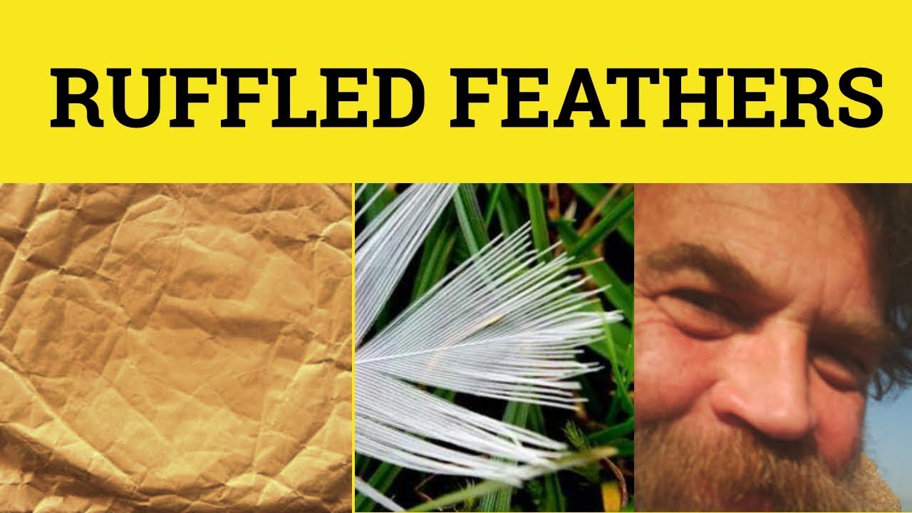 🔵 Ruffled Feathers Meaning - Ruffle Somebody's Feathers Defined - A Few Ruffled Feathers Definition
