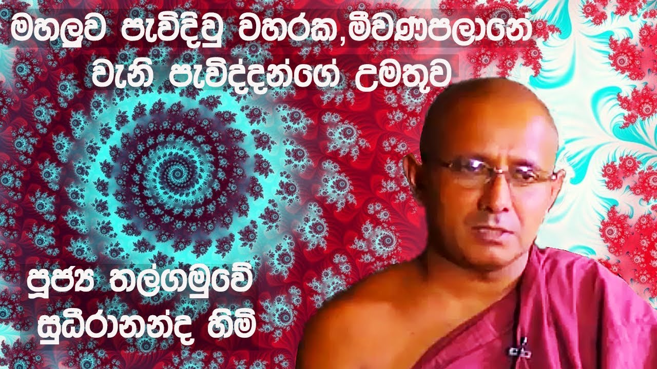 මහලුව පැවිදිවූ වහරක, මීවණපලානේ වැනි පැවිද්දන්ගේ  උමතුව