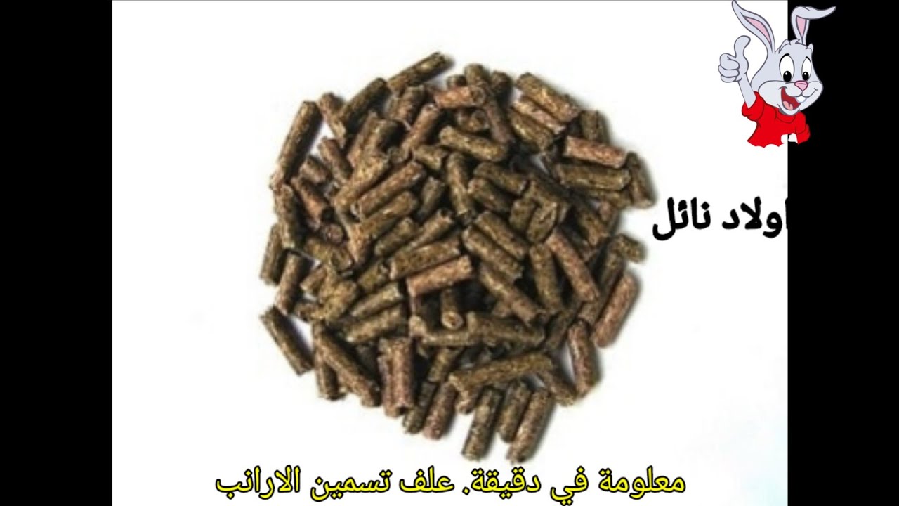 معلومة في دقيقة . علف تسمين الارانب