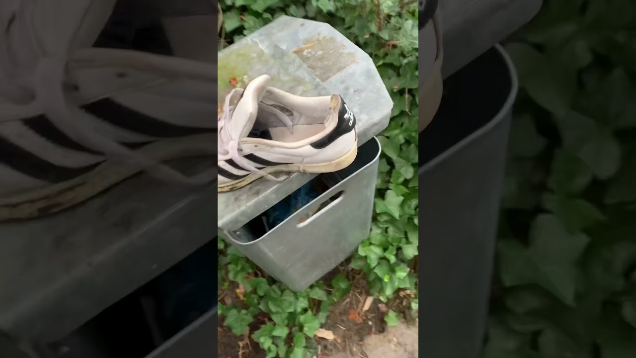 Girlfriends abused Adidas Superstars in the trashcan