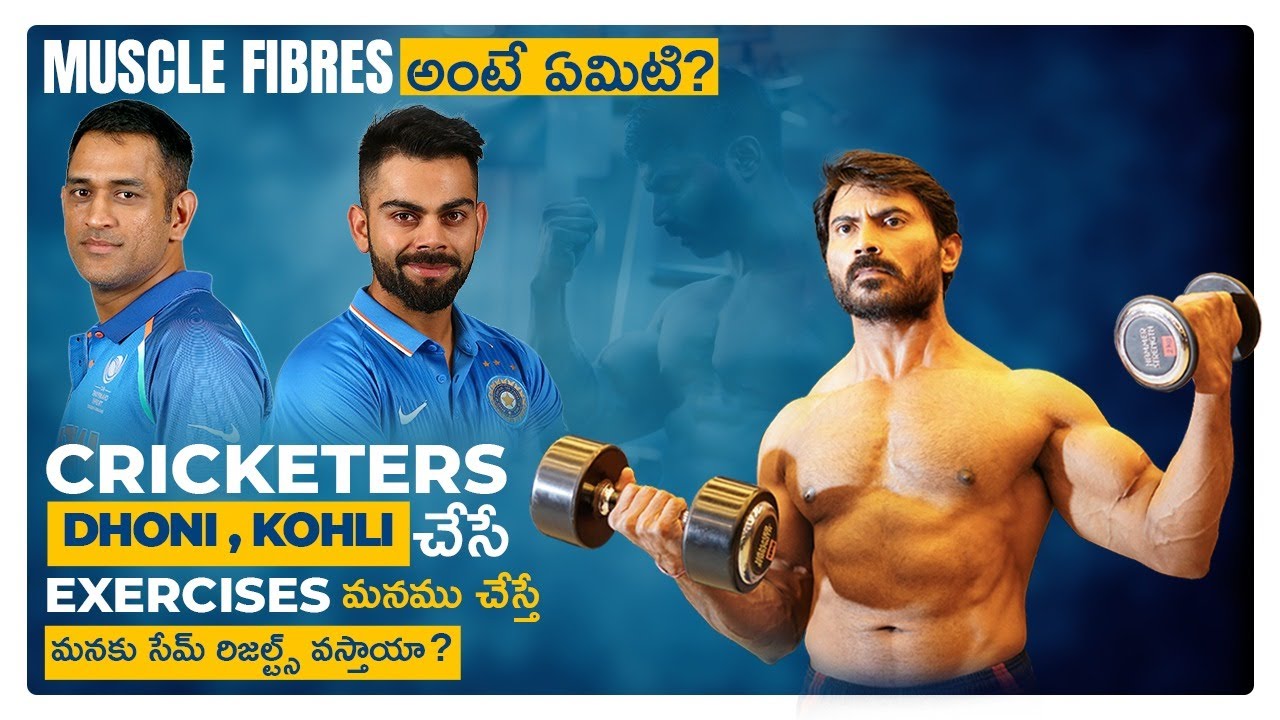 What are Muscle Fibers ? || Type 1 Vs Type 2 Muscle Fibers