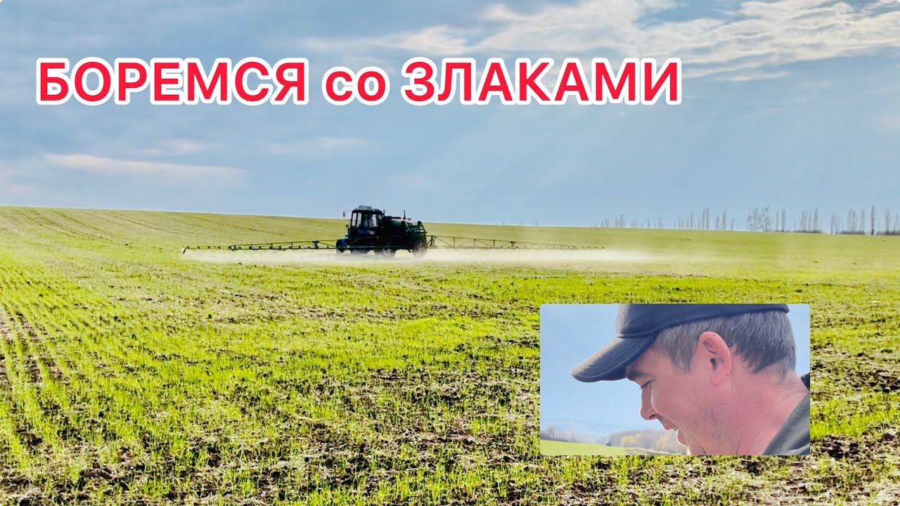 NO-TILL. Вносим удобрение. Боремся со злаками. Планы на будущее 22 апреля 2021&nbsp;г.