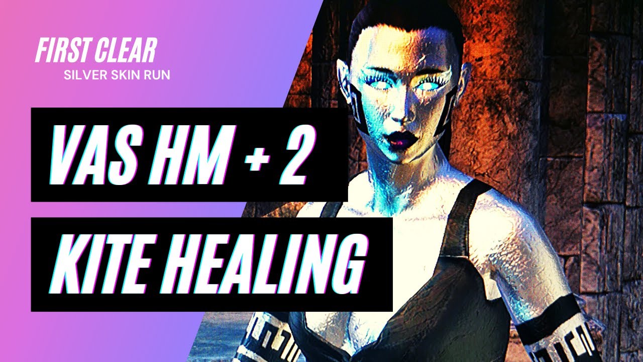 Beginner Front Kite Heal Guide Veteran Asylum Sanctorium HM +2 on (nearly) BULLETPROOF Prog Build