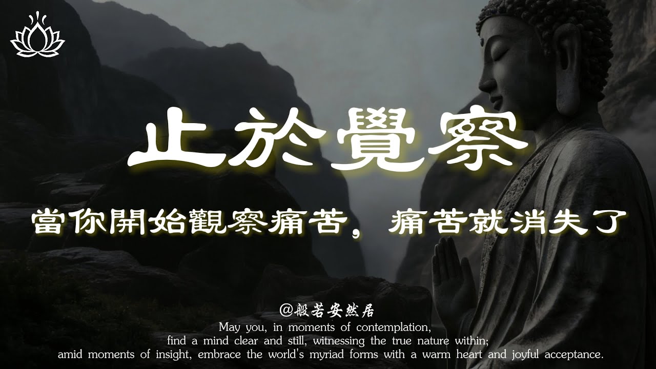 當你放下對抗，以覺照之心觀察痛苦，痛苦便已開始消散。【般若安然居】#心灵感悟 #修心 #能量療愈 #佛學 #人生感悟 #心靈暖流 #正能量 #禅意生活