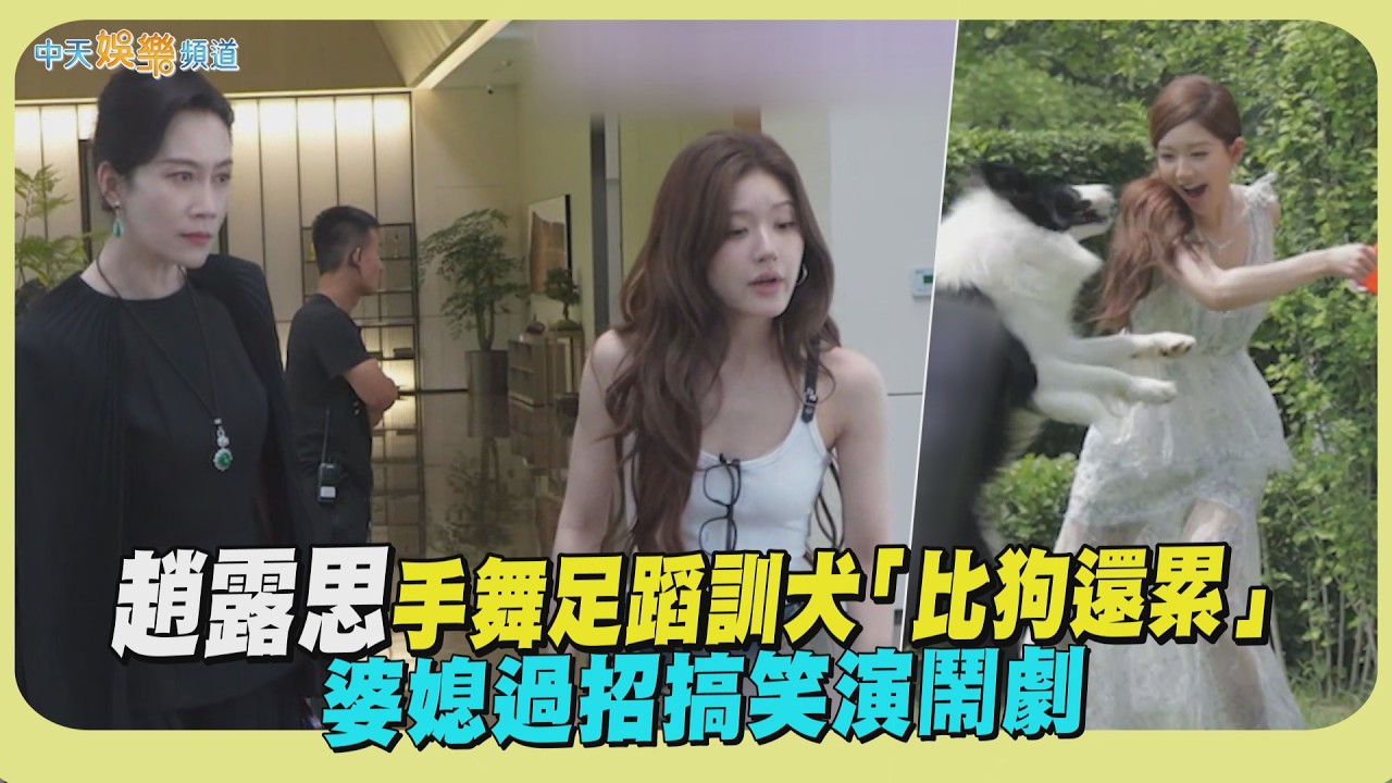 【劇透社】趙露思手舞足蹈訓犬「比狗還累」 婆媳過招搞笑演鬧劇｜許我耀眼花絮