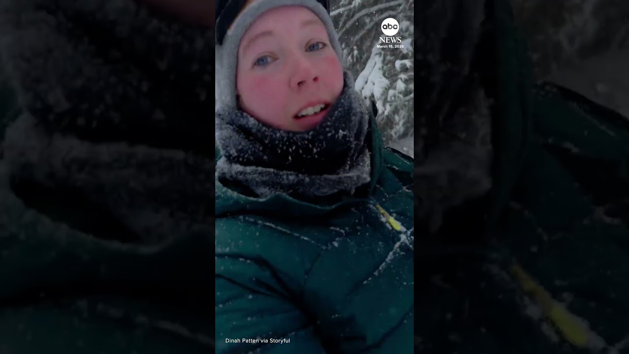 Женщина соорудила самодельные собачьи упряжки во время снежной бури в Мичигане.