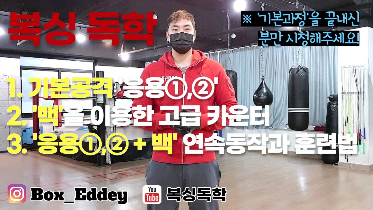 [복싱독학]복싱을 혼자 배워보자!! 8# 기본공격의 응용방법 2가지 & '백'을 이용한 고오급! 카운터 & '응용 2가지'와 '백'의 연속동작 및 훈련법
