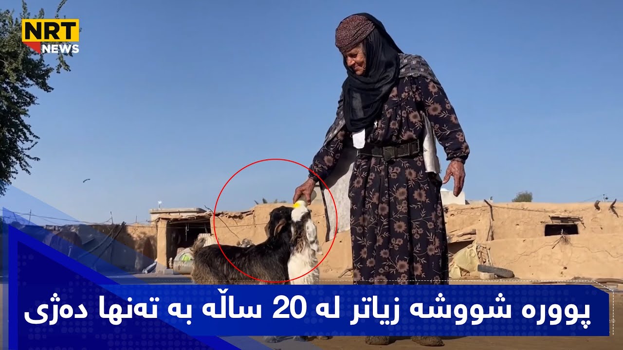پوورە شووشە زیاتر لە 20 ساڵە بە تەنها دەژی